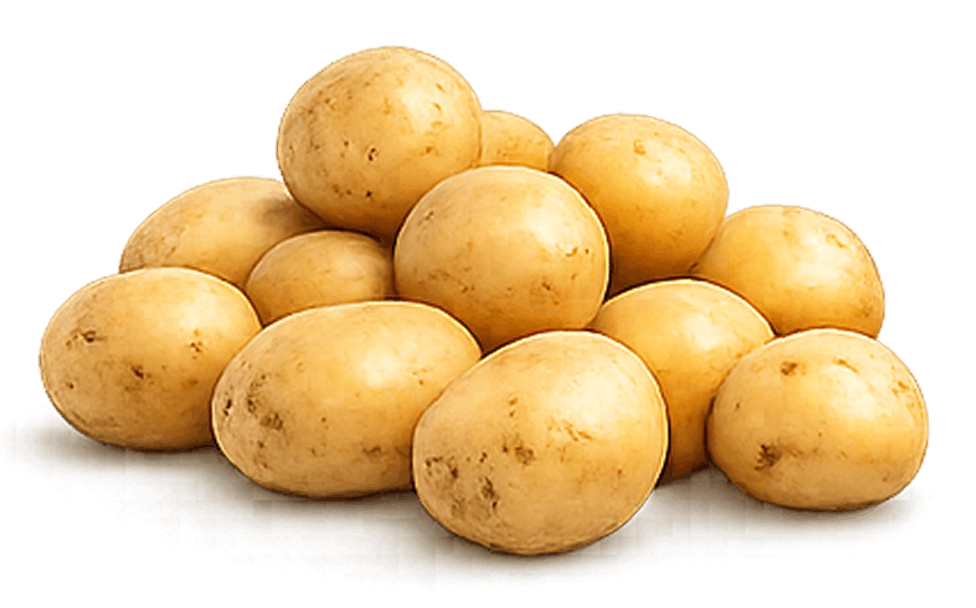 Baby Potatoes
